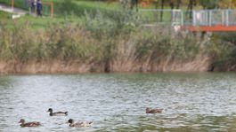 Takmer polovicu vodných ekosystémov nemá Slovensko v dobrom stave