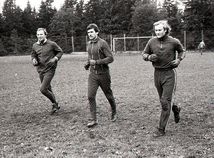 Jaroslav Netolička, Stanislav Seman, Karel Stromšík