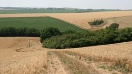 Zostane PPA bez riaditeľa? Guniš požiadal o uvoľnenie z funkcie