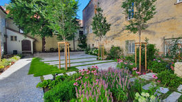 Baroková opera pokračuje príbehom krásnej nymfy Dafné