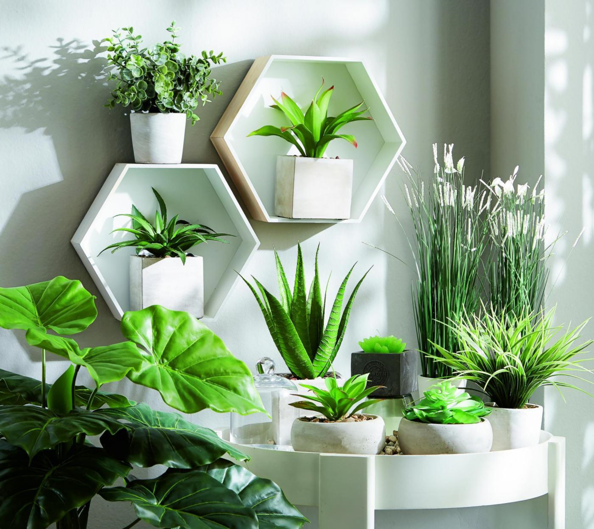Bujná zeleň priamo vo vašej obývačke, použite...