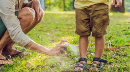 Komárie bodnutie môže spôsobiť nepozornosť aj nespavosť