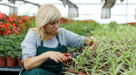 Založenie firmy je drahé, živnosť vyjde lacnejšie