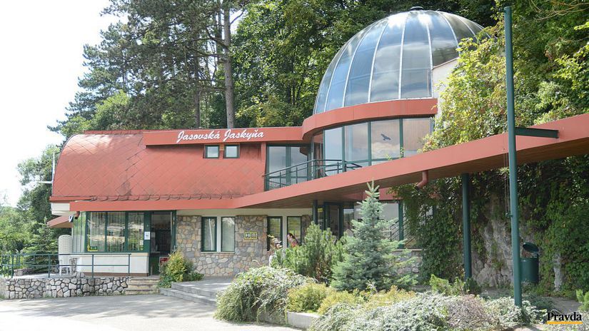 V Jasovskej jaskyni žije až 19 druhov...