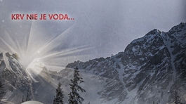 Knižné tipy: Priemyselná Bratislava aj Nesbøvo Kráľovstvo