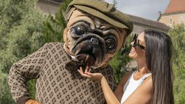 zlatá maska, skoncová