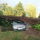 tornado wind tree car storm