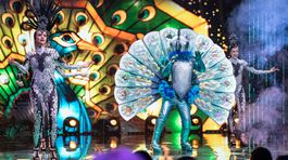 Recenzia: Pevne sa držte gaučov! Jojka priviezla na Slovensko svetovú zábavu...