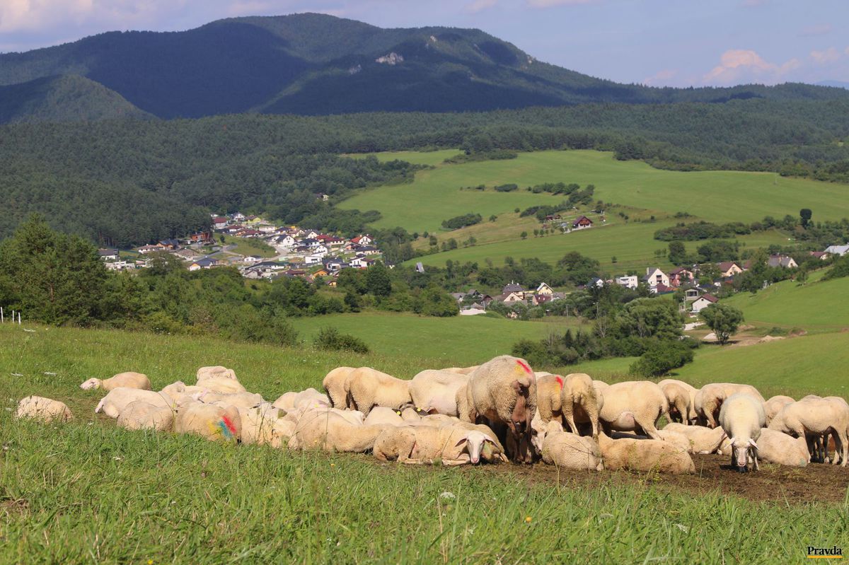 Dobre spravovaná horská krajina nad obcou Pružina.
