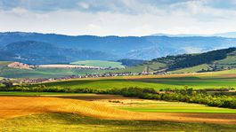 Slovensko má vytiahnuť  z krízy reforma pozemkov