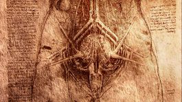 Z histórie: Prostata. Prebodnúť, prekrájať, páliť!