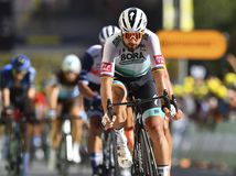 France Cycling Tour de France Sagan