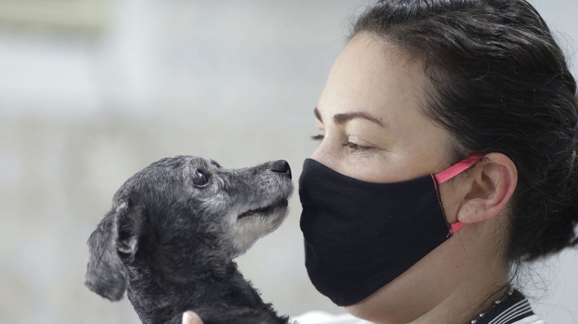Virus Outbreak Brazil - Animal Adoptions