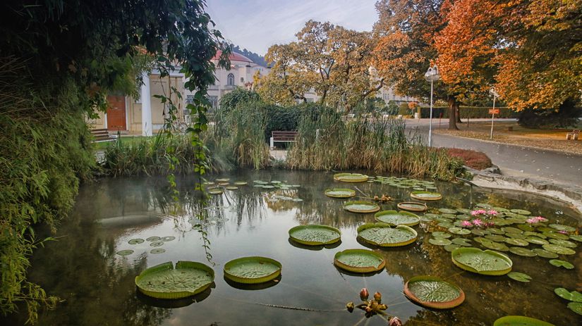 V termálnych jazierkach na Kúpeľnom ostrove sa...