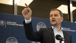 Matovič o peniazoch svojej manželky. V Arca Capital nič nemala, v Arca Investments 600-tisíc