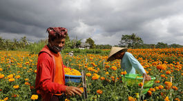 V Česku je situácia s vírusom vážna, Babiš prehovoril k národu