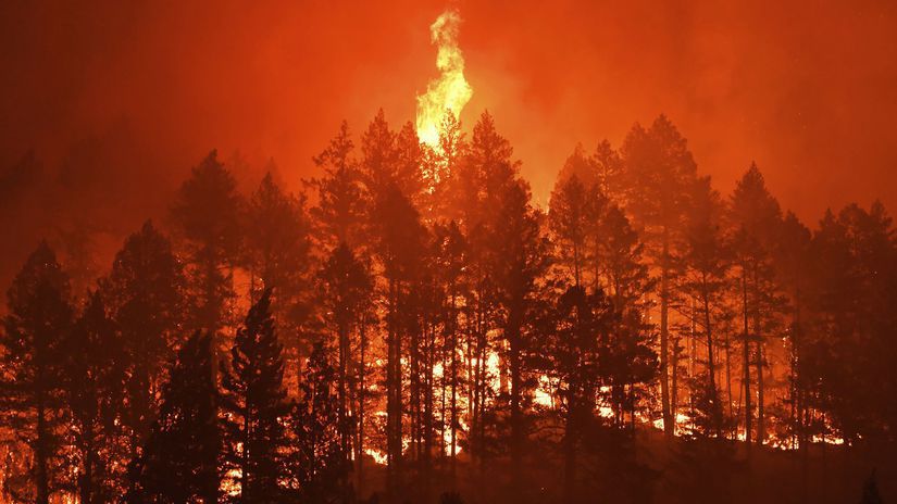kalifornia usa požiar oheň les