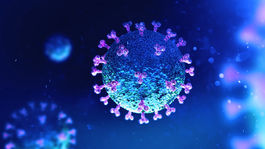 Výskum: Vírus SARS-CoV-2 prežil v laboratórnych podmienkach až 28 dní