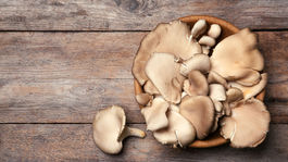 Kombinácia na imunitu: hliva a rakytník