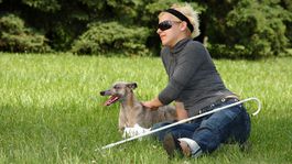 Pri zdravotnom postihnutí sa určuje funkčná porucha