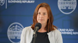 Umelci na voľnej nohe a s úväzkom už môžu dostať 810 eur mesačne