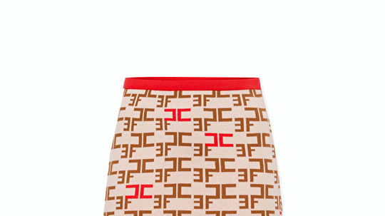 Pletená sukňa so vzorom Elisabetta Franchi,...