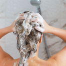 šampón, žena, vlasy, umývanie