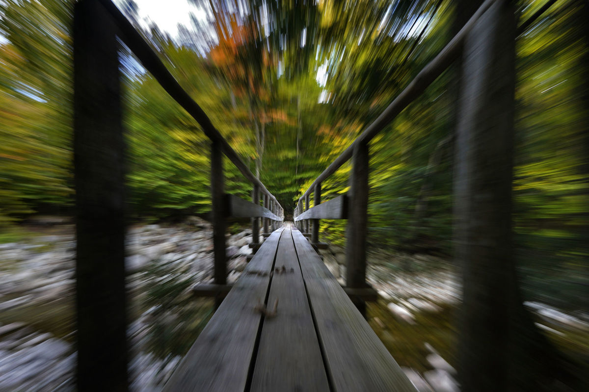 Adirondack, most, mostík, chodník, cestička, cesta, les, jeseň, príroda, turistika, stromy,