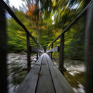 Adirondack, most, mostík, chodník, cestička, cesta, les, jeseň, príroda, turistika, stromy,