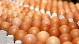 Vajíčka obsahujú množstvo živín. Najradšej máme praženicu.