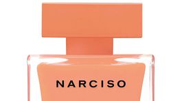 Vôňa Narciso Eau de Parfum by Ambrée od Narciso Rodriguez, info o cene v predaji. 