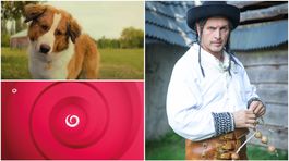 Jojka v šoku: Pohorel jej 'zaručený' filmový hit, jej spása je niečo úplne iné!