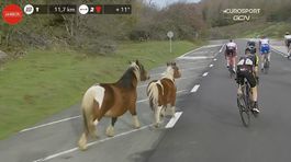 Si sa s koňom zrazil? Na Vuelte veľa nechýbalo