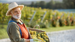 Penzisti: Dávky, na ktoré máte nárok za odvody