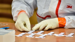 Preverované vzorky testov potvrdili prítomnosť britskej mutácie v 74 percentách