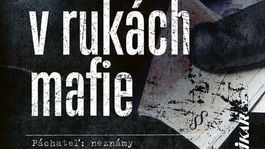 Peter Šloser - Polícia v rukách mafie. Keby sme boli v právnom štáte, padali by hlavy!