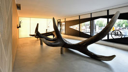 Na vytúženú  Kunsthalle si ešte len zvykáme 