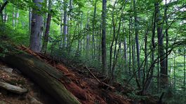 Výstavba v národných parkoch sa bude regulovať. Vláda zmení stavebný zákon