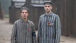 Bebjakov film Správa zabojuje o Oscara