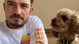 Dlho nevydržal! Orlando Bloom má už po smrti milovaného psa náhradu
