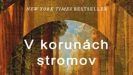 Richard Powers: V korunách stromov