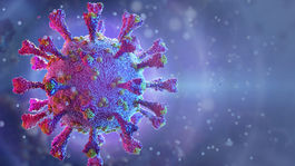 Otázky a odpovede: O novom "anglickom" variante vírusu na Slovensku