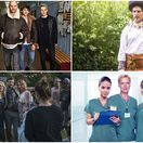 uhorčík, pán profesor, sestričky, hniezdo,