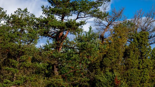Volvo - crashtest pre záchranárov