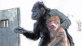 Danglár, 3. 12 .2020