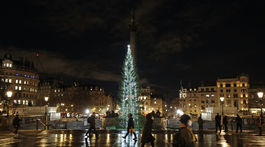 Vianočný strom v Londýne na Trafalgar Square