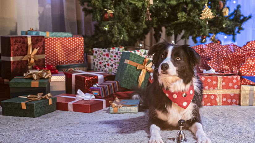 Vianočný ident televízie JOJ pre rok 2020.