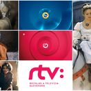 popoluška, sám doma, perinbaba,