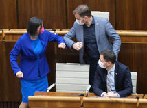 Mária Kolíková, Igor Matovič, Eduard Heger,
parlament