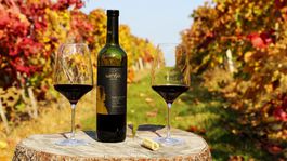 Vinári vyzývajú na vyplatenie covid podpory a urýchlené riešenie zlej situácie v ich sektore